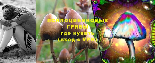 героин Алексин