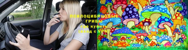 героин Алексин